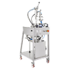Filling & Capping Monoblock (Semi-Automatic)